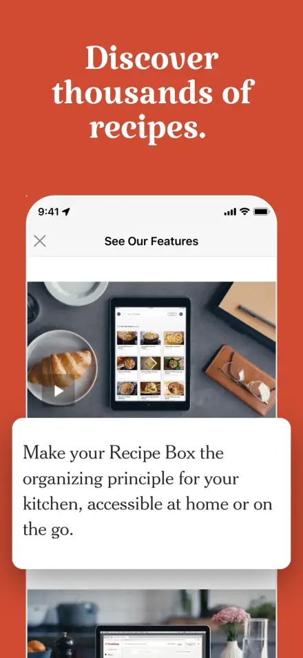 lifestyle template